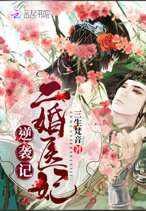 二婚医妃逆袭记