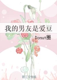 我的男友是爱豆