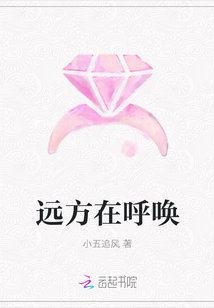 远方在呼唤