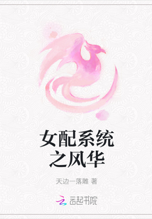 女配系统之风华