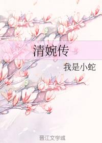 清婉传