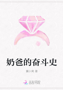 奶爸的奋斗史