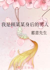 我是顾某某身后的男人