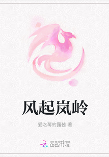 风起岚岭