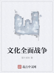 文化全面战争