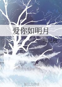 爱你如明月