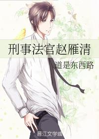 刑事法官赵雁清