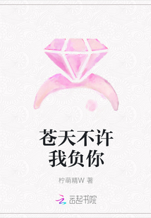 苍天不许我负你