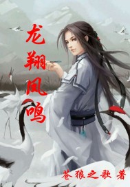 龙翔凤鸣