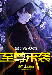 至尊来袭