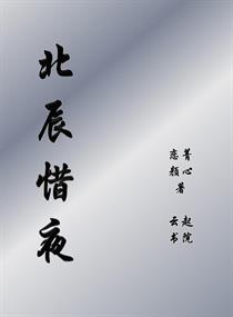 北辰惜夜