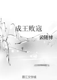 成王败寇