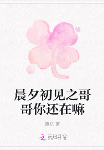 晨夕初见之哥哥你还在嘛