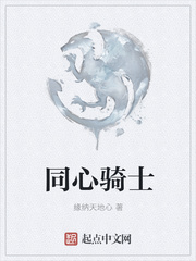 同心骑士