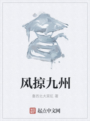 风掠九州