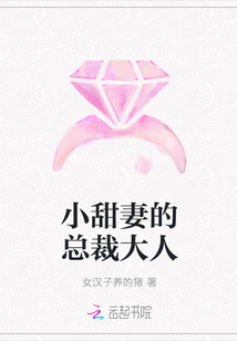 小甜妻的总裁大人