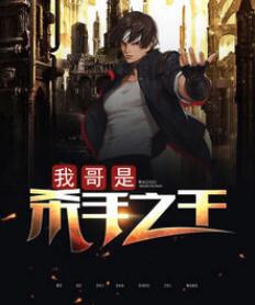 我哥是杀手之王