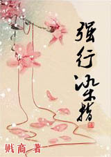 龙棺传奇