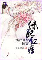 丁毅韩妃蓉