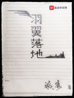 羽翼落地