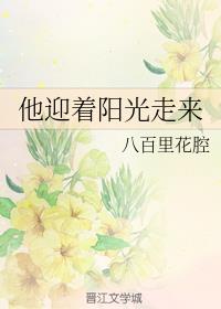 他迎着阳光走来