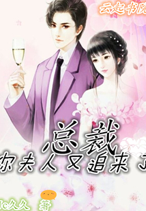 总裁你夫人又追来了
