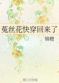 娇气包快穿回来了