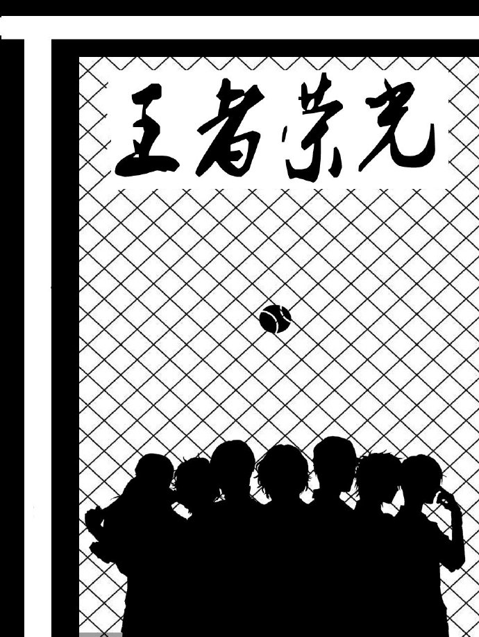 王者荣光辛九同
