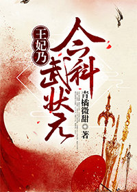 王妃乃今科武状元