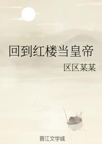 回到红楼当皇帝