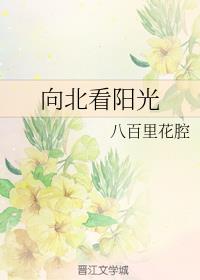 向北看阳光