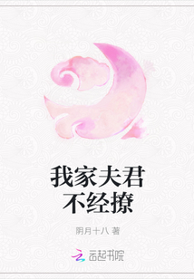 我家夫君不经撩