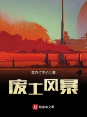 红1之废土风暴