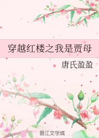 穿越红楼之我是贾母