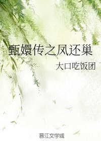甄嬛传之凤还巢