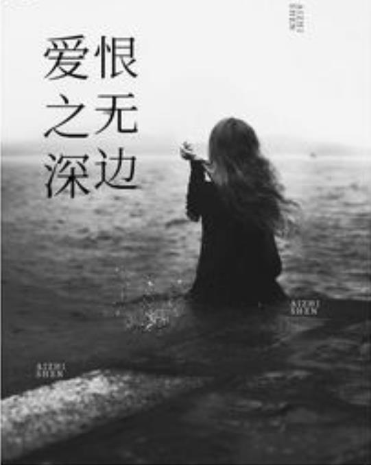 翻手为云小说