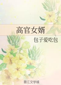 高官女婿