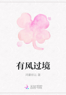 有风过境