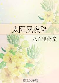 太阳夙夜降