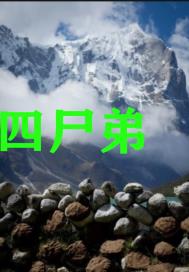 四尸弟