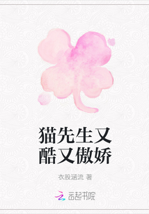 猫先生又酷又傲娇