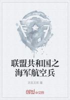 联盟共和国之海军航空兵
