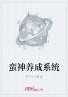 蛮神养成系统