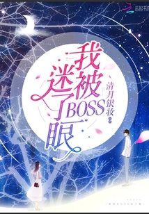 我被BOSS迷了眼