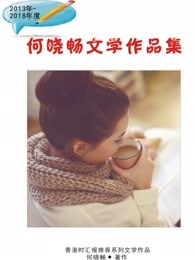 何晓畅文学作品集