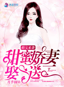 精分总裁甜蜜妻