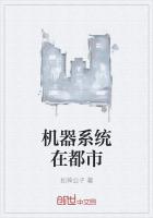 机器系统在都市