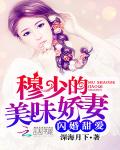 权少私宠：小小鲜妻，好美味