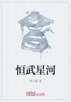 恒武星河