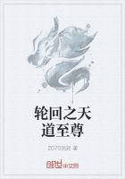 轮回之天道至尊